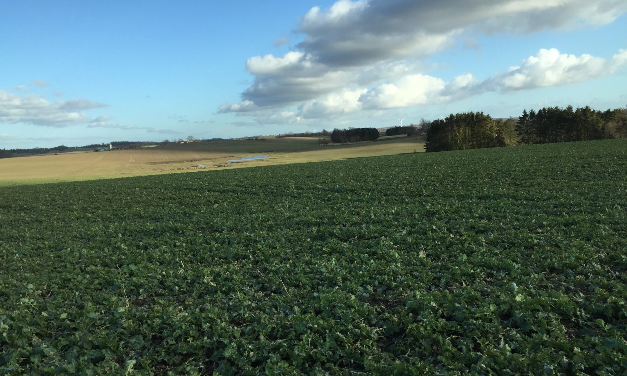 Velkommen til Skelby og Gunderslev Lokalråd
